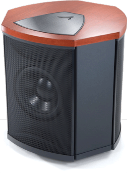 MartinLogan Descent i subwoofer. MartinLogan Descent i subwoofer.