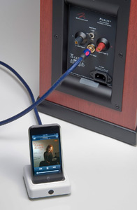 Purity RCA connection.