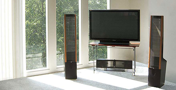 pioneer hpm 1000